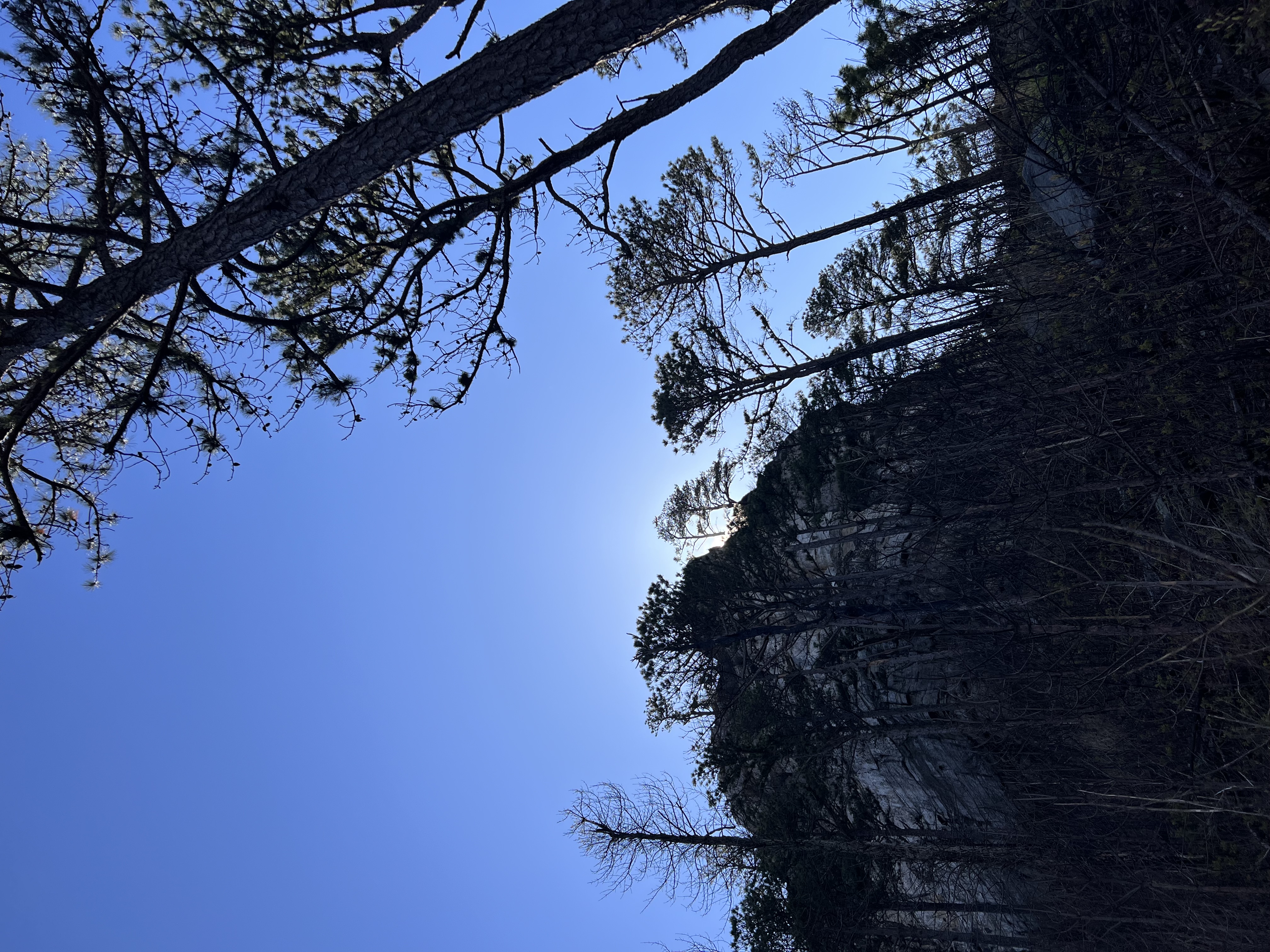 ./2023/05 - Toni Adventures/IMG_2999.JPG